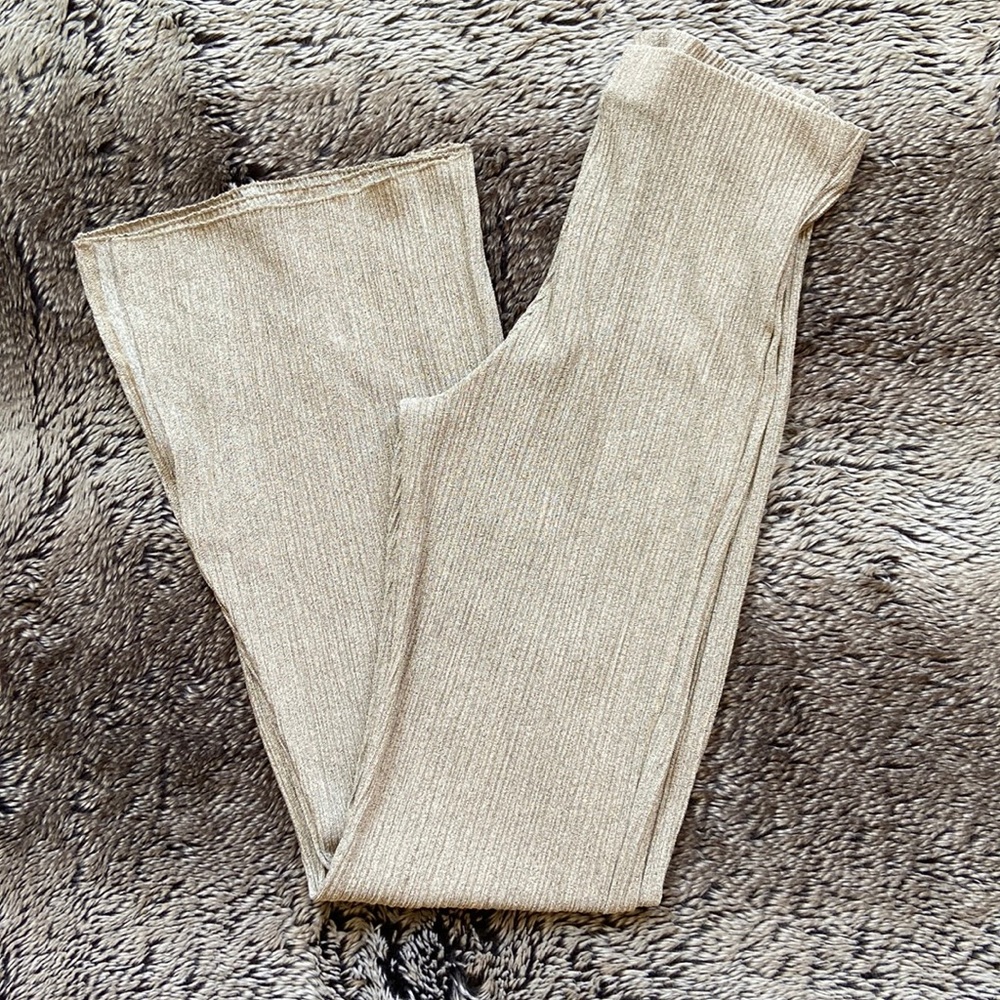 Sheer gold Zara pants